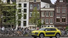 Citroen C4 Cactus (2014) - lewy bok