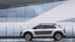 Citroen C4 Cactus (2014) - lewy bok