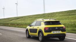 Citroen C4 Cactus (2014) - widok z tyłu