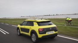 Citroen C4 Cactus (2014) - widok z tyłu