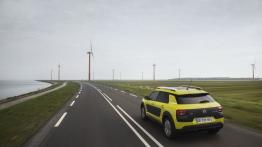 Citroen C4 Cactus (2014) - widok z tyłu