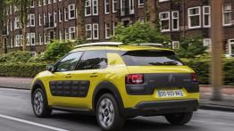 Citroen C4 Cactus (2014) - widok z tyłu