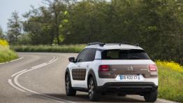 Citroen C4 Cactus (2014) - widok z tyłu