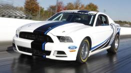 Ford Mustang V Coupe 4.0 i V6 12V 212KM 156kW 2005-2014