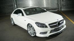 Mercedes CLS W218 Coupe 350 Blue TEC 252KM 185kW 2013-2014