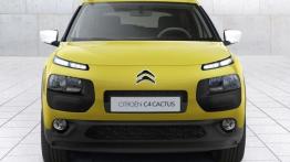 Citroen C4 Cactus (2014) - widok z przodu