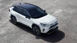 Nowe wcielenie hybrydowej Toyoty RAV4