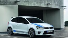 Volkswagen Polo V Hatchback 3d 1.6 TDI-CR DPF BlueMotion 90KM 66kW 2009-2014