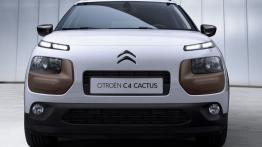 Citroen C4 Cactus (2014) - widok z przodu