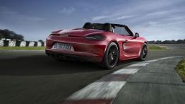 Porsche Boxster III GTS (2014) - widok z tyłu