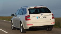 Skoda Octavia III G-TEC (2014) - widok z tyłu