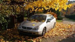 Citroen C5 I Hatchback 1.8i 16V 116KM 85kW 2000-2004