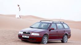 Skoda Octavia I Kombi 4x4 - widok z przodu