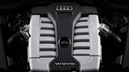 Audi A8 L W12 quattro Facelifting (2014) - silnik