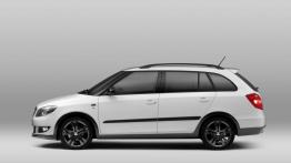 Skoda Fabia II Combi Facelifting Monte Carlo (2014) - lewy bok