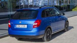 Skoda Fabia II Combi Facelifting Monte Carlo (2014) - widok z tyłu