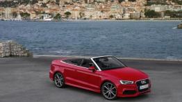 Audi A3 III Cabriolet 2.0 TDI (2014) - prawy bok