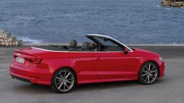 Audi A3 III Cabriolet 2.0 TDI (2014) - prawy bok