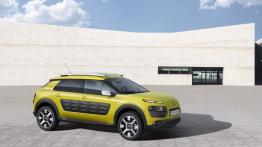 Citroen C4 Cactus (2014) - prawy bok