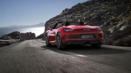 Porsche Boxster III GTS (2014) - widok z tyłu