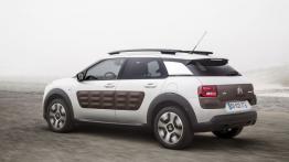 Citroen C4 Cactus (2014) - widok z tyłu