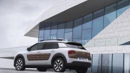 Citroen C4 Cactus (2014) - widok z tyłu