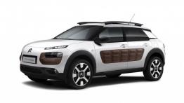 Citroen C4 Cactus (2014) - lewy bok