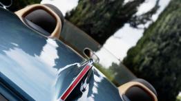 Mini Superleggera Vision Concept (2014) - tył - inne ujęcie