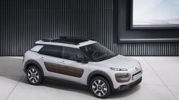 Citroen C4 Cactus (2014) - widok z góry