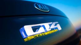 Kia GT4 Stinger Concept (2014) - emblemat