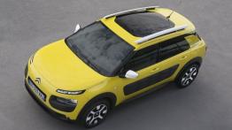 Citroen C4 Cactus (2014) - widok z góry