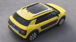 Citroen C4 Cactus (2014) - widok z góry
