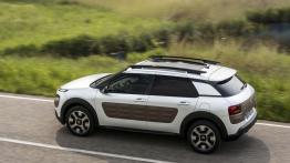Citroen C4 Cactus (2014) - widok z góry