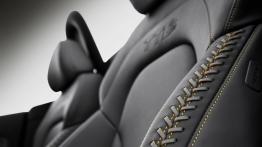 Audi TTS Competition Roadster (2014) - fotel kierowcy, widok z przodu