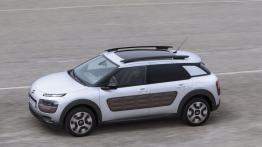 Citroen C4 Cactus (2014) - widok z góry