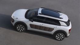 Citroen C4 Cactus (2014) - widok z góry