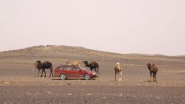 Skoda Octavia I Kombi 4x4 - prawy bok