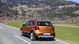 Volkswagen CrossPolo Facelifting (2014) - widok z tyłu