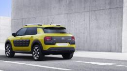 Citroen C4 Cactus (2014) - widok z tyłu