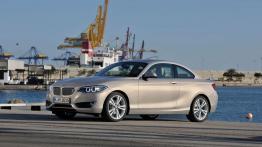 BMW serii 2 Coupe (2014) - lewy bok