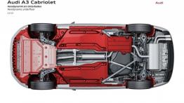 Audi A3 III Cabriolet 2.0 TDI (2014) - schemat konstrukcyjny auta