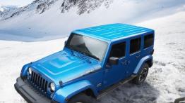 Jeep Wrangler Unlimited Polar (2014) - widok z góry