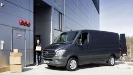 Mercedes Sprinter Facelifting (2014) - lewy bok