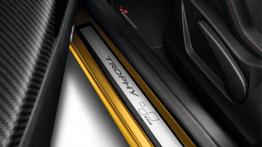 Renault Megane III RS 275 Trophy (2014) - listwa progowa