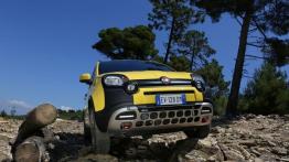 Fiat Panda III Cross (2014) - widok z przodu