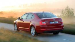 Skoda Octavia III G-TEC (2014) - widok z tyłu