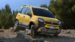 Fiat Panda III Cross (2014) - widok z przodu
