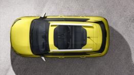 Citroen C4 Cactus (2014) - widok z góry
