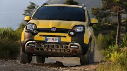 Fiat Panda III Cross (2014) - widok z przodu