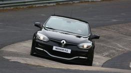 Renault Megane III RS 275 Trophy (2014) - widok z przodu